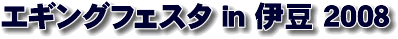 �G�M���O�t�F�X�^in�ɓ�2008