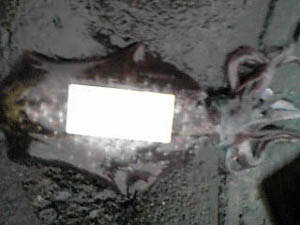 �c������