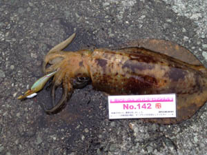 �މʉ摜