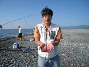 �摜